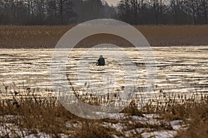 Frozen river, bent and icy anglers