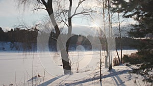 Frozen river covered with fresh snow and bare tree on bank