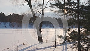 Frozen river covered with fresh snow and bare tree on bank