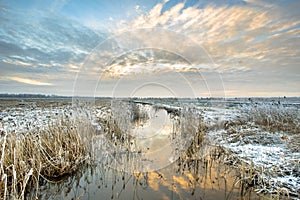 Frozen river Drentsche Aa in northern part of the province of Dr