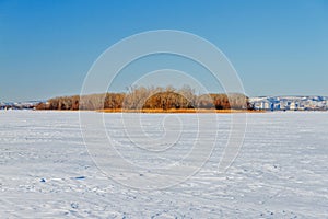 The frozen river with a dry cane on the island