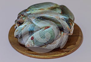 Frozen river fish lies on a wooden round board for slicing food