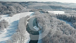 A frozen river flows between the trees covered with white snow. On a frosty sunny December day, spruce trees grow