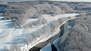 A frozen river flows between the trees covered with white snow. On a frosty sunny December day, spruce trees grow