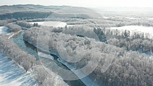 A frozen river flows between the trees covered with white snow. On a frosty sunny December day, spruce trees grow