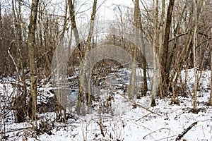 The Almost frozen river in forest after fresh snow with broked tree fallen across a riverbed