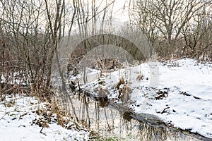 The Almost frozen river in forest after fresh snow with broked tree fallen across a riverbed