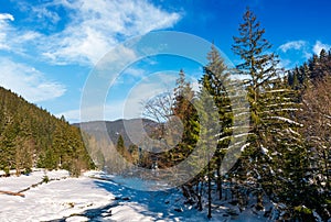 Frozen river in forested mountains