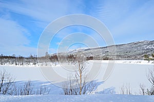 Frozen river landscape with forest and sunny blue sky