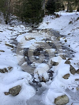 a frozen river that runs through the forest