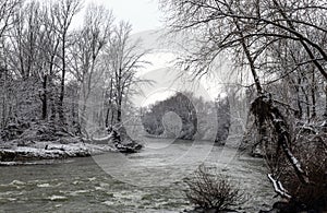 A frozen river surrounded by snow covered trees