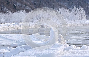 Frozen river and tree covered with snow