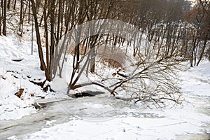 Frozen river in winter, snow and ice melting with fallen trunk of a tree