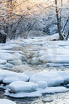 Frozen river in woods