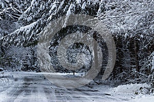 Frozen road through a rural area in winter