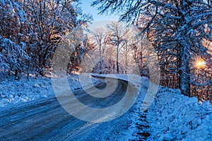 Frozen road in a snowy forest at sunset