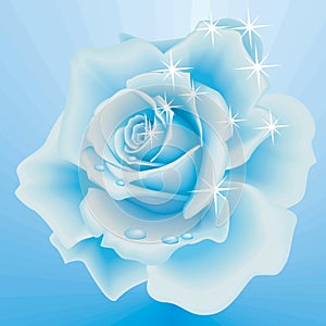Frozen Rose