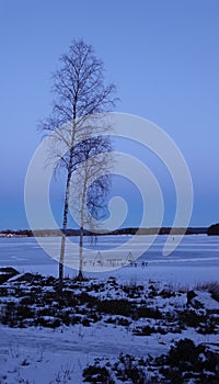 Frozen Runn lake near Falun in Sweden at sunset