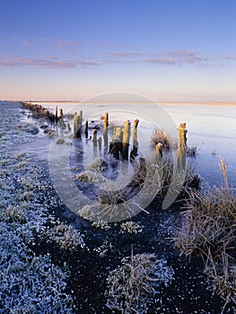 Frozen saltmarsh landscape