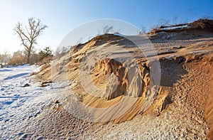 Frozen sand dunes on sea coast with trees and blue sky