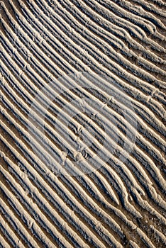 frozen sand textures in winter by the sea beach