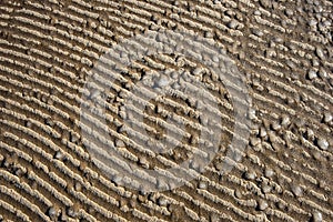 frozen sand textures in winter by the sea beach