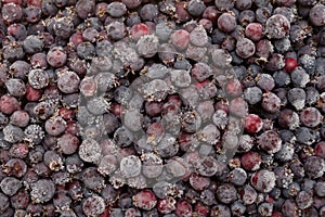 Frozen saskatoonberry