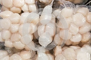 Frozen scallop meat in refrigerator to preserve its freshness