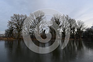 Frozen Section of K&A Canal near Rowde in Wiltshire