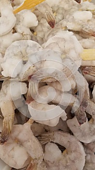 Frozen shrimp for marinated kebabs