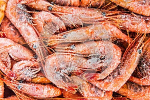 Frozen shrimp packaged