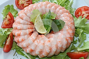 Frozen shrimp ring