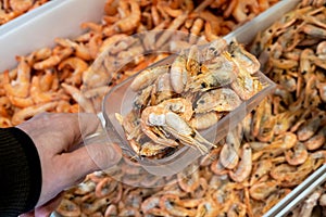 Frozen shrimp in a supermarket or grocery store, close-up. Seafood.