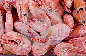 Frozen shrimps photo