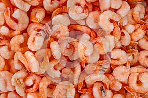 Frozen shrimps close-up
