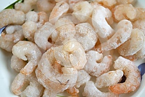 Frozen shrimps ready to be thawed out photo