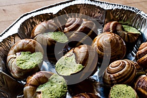 Frozen Snail food with Garlic Butter.