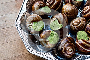 Frozen Snail food with Garlic Butter.