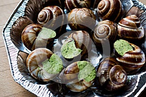 Frozen Snail food with Garlic Butter.