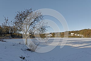 A Frozen and Snow covered Loch Clunie looking North, with Forneth House in the distance