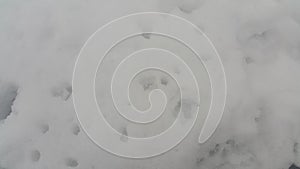 Frozen Snow Ice Texture - Top view texture of surface with grey ice covered in white snow