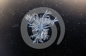 Frozen snowflake on glass early morning