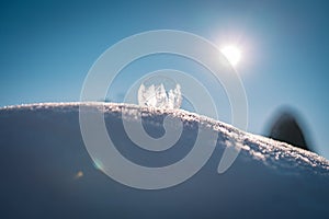 Frozen soap bubble with a beautiful pattern on the snow close up on a blurry background