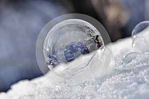 Frozen soap bubble - close up