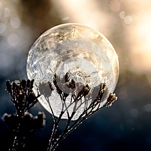Frozen soap bubble