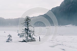 Frozen Spechtensee in Ennstal valley during winter