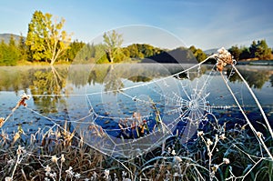 Frozen spider web on the edge of autumn lake