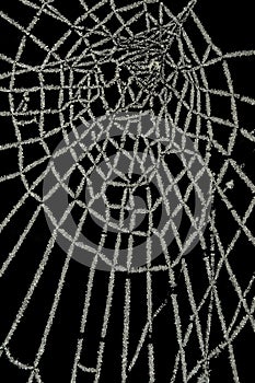 Frozen spider web isolated on black