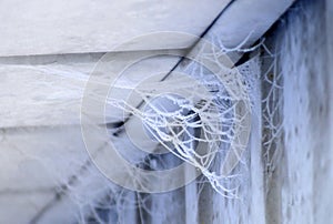 Frozen Spider Webs on the side of A house - below the soffit