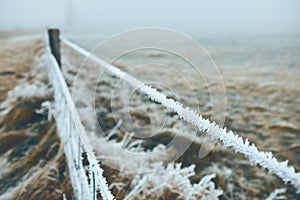 Frozen steel wire